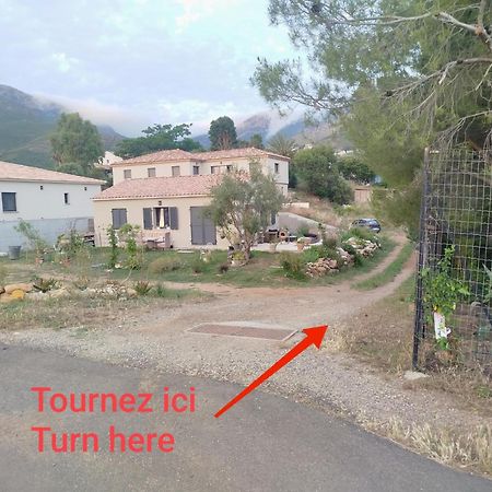Charmant Appartement F2 Neuf Patrimonio Luaran gambar
